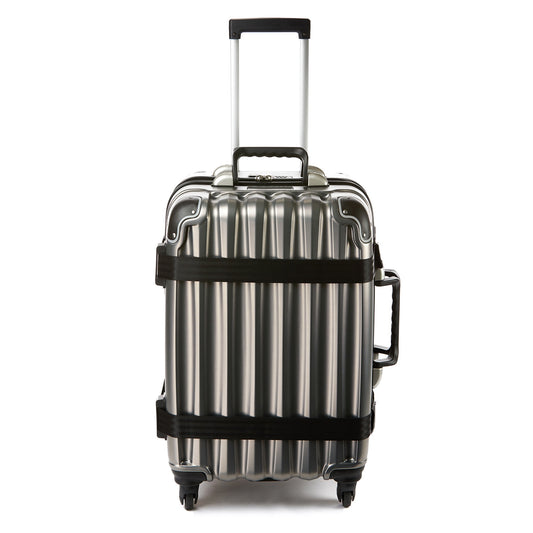 VinGardeValise Grand Wine Luggage Silver 12-Bottles